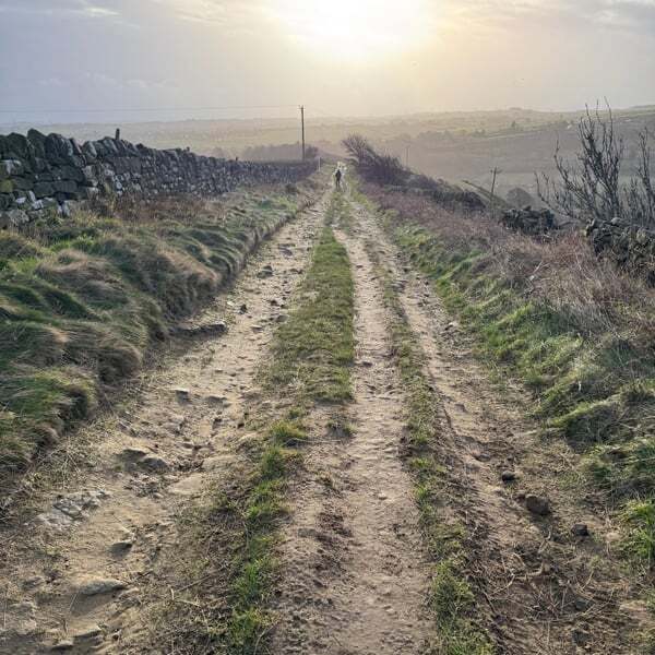 Cover art for Sound of More to Follow